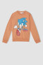 Erkek Çocuk Sonic the Hedgehog Bisiklet Yaka Sweatshirt