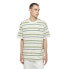 DICKIES Glade Spring short sleeve T-shirt