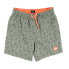 NZA NEW ZEALAND Milburns Pond Swimming Shorts Зеленый, S - фото #1