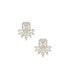 ფოტო #1 პროდუქტის Shine Crystal Earrings in 18K Gold Plating