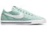 Nike Court Legacy CNVS (CZ0294-300) Sneakers