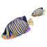 GABY The Regal Angelfish Mini Pillow