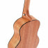 Фото #7 товара Cascha Premium Tenor Uku Solid Top