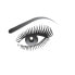 Фото #4 товара L'Oréal Paris Miss Baby Roll Black mascara, for a stunning mega volume, No. 00 Black, 1 x 9.1 g