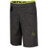 Фото #4 товара LA SPORTIVA Bleauser Shorts