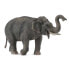 Фото #2 товара COLLECTA Asian Elephant Figure