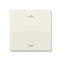 JUNG AS 591 P - Button plate - Ivory - Duroplast - 4071.02 LED - 1 pc(s)