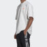 Adidas Originals Awesome Logo SS20 GK4878 T-Shirt