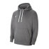 Фото #1 товара Nike Park 20 Fleece Jr CW6896-071 sweatshirt