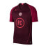 Фото #1 товара Nike FC Home Jersey SS M AT6017-681 shirt