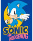 Футболка Sega Sonic Hedgehog Tails Knuckles