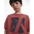 ფოტო #4 პროდუქტის CALVIN KLEIN JEANS Reflective Monogram Logo T-shirt