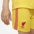 Фото #6 товара NIKE Liverpool FC Third Little Kit 21/22 Set