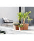 Фото #2 товара Rotterdam Durable Indoor and Outdoor Modern Planter, 8in