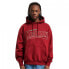 Karl Kani Trekking Os Hoodie M 6021747