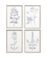 Фото #1 товара Navy Botanicals Wall Art Set, 4 Piece