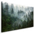 Фото #1 товара Leinwandbild Wald im Nebel Landschaft 3D