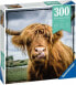 Фото #1 товара Ravensburger Puzle 300 elementów Momenty, Szkocka krowa
