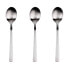 Фото #1 товара SAN IGNACIO Root Stainless Spoon