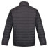 REGATTA Wentwood VII 3in1 detachable jacket