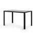 Фото #1 товара Dining Table for Home or Office Use