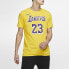 Фото #3 товара Футболка Nike Dri-FIT NBA Jersey T-shirt T AR4887-740