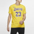 Футболка мужская Nike Dri-FIT NBA Jersey T-shirt (Футболка T) M - фото #3