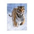 Фото #1 товара Puzzle Tiger im Schnee 500 Teile