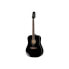 Фото #1 товара Takamine FT341 B-Stock