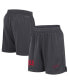 ფოტო #1 პროდუქტის Men's Anthracite Arizona Wildcats 2024 Sideline Mesh Shorts