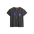 Фото #1 товара SUPERDRY Foil Workwear Fitted short sleeve T-shirt