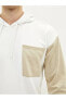 Lcw Casual Kapüşonlu Uzun Kollu Renk Bloklu Erkek Sweatshirt