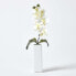 Фото #4 товара 2er-Set Künstliche Orchideen 43 cm