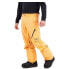 Фото #4 товара BURTON Ak Goretex Cyclic Pants