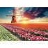 Puzzle Educa Fields of Tulips 18465 1500 Pieces