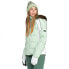 Фото #4 товара ROXY Snowblizzard jacket