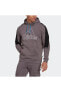 Фото #2 товара Толстовка мужская Adidas FI WTR Hoodie TRAGRE Sweatshirt HK2163