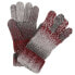 Фото #2 товара REGATTA Frosty VI Gloves