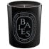 Diptyque Black Baies Candles