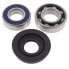 All BALLS 14-1054 Ski Doo bearing&seal differential kit