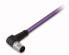 Фото #1 товара WAGO M12 2m - 2 m - CANopen-/DeviceNet - 1xM12 - Male - Black,Violet - 10 ?