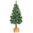 Christbaum Diamantkiefer mit Naturstamm