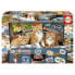 Фото #1 товара EDUCA BORRAS 200 Traveler Kittens