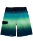 ფოტო #1 პროდუქტის Men's 9" NO Liner Board Shorts Elastic Waist Quick Dry Swim Trunks