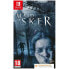 NINTENDO GAMES Switch Maid of Sker Code in Box