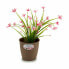 Planter Stefanplast Brown Plastic 14 x 13 x 14 cm (12 Units)