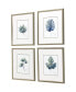 Plant Drawings Framed Art, Set of 4