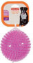 Фото #1 товара Zolux Zabawka TPR Pop piłka z kolcami 13 cm różowy