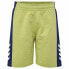 Фото #1 товара HUMMEL Rush Block Shorts