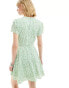 Фото #4 товара Glamorous v neck tie waist short sleeve mini tea dress in green daisy